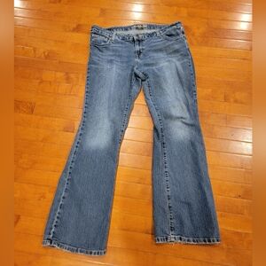 Womens American Eagle Stretch Skinny Flare Leg Women Jean - Size 14 Regular